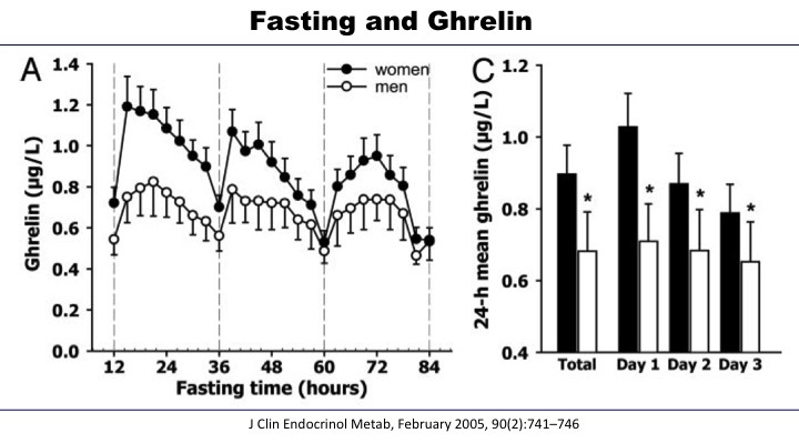 Fasting and Ghrelin 2