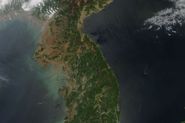 North and South Korea Deforestation - 600